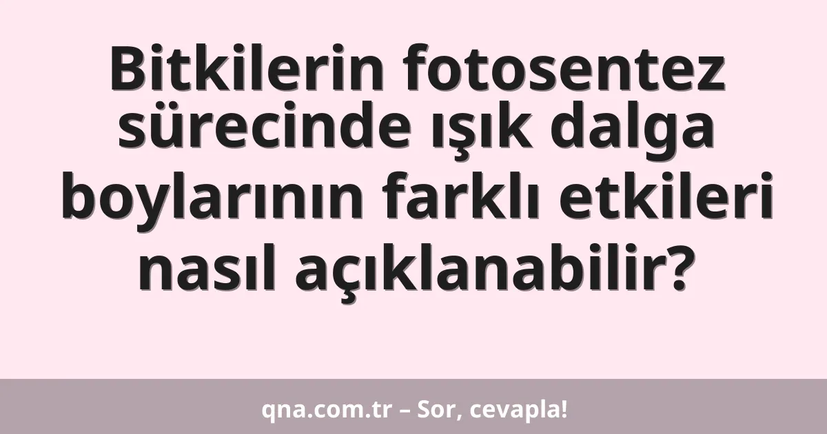 Bitkilerin fotosentez sürecinde ışık dalga boylarının farklı etkileri nasıl açıklanabilir?