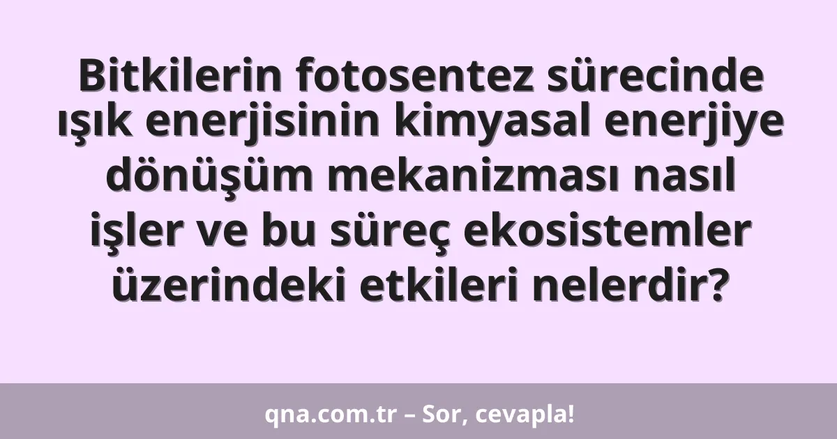 Bitkilerin fotosentez sürecinde ışık enerjisinin kimyasal enerjiye dönüşüm mekanizması nasıl işler ve bu süreç ekosistemler üzerindeki etkileri nelerdir?