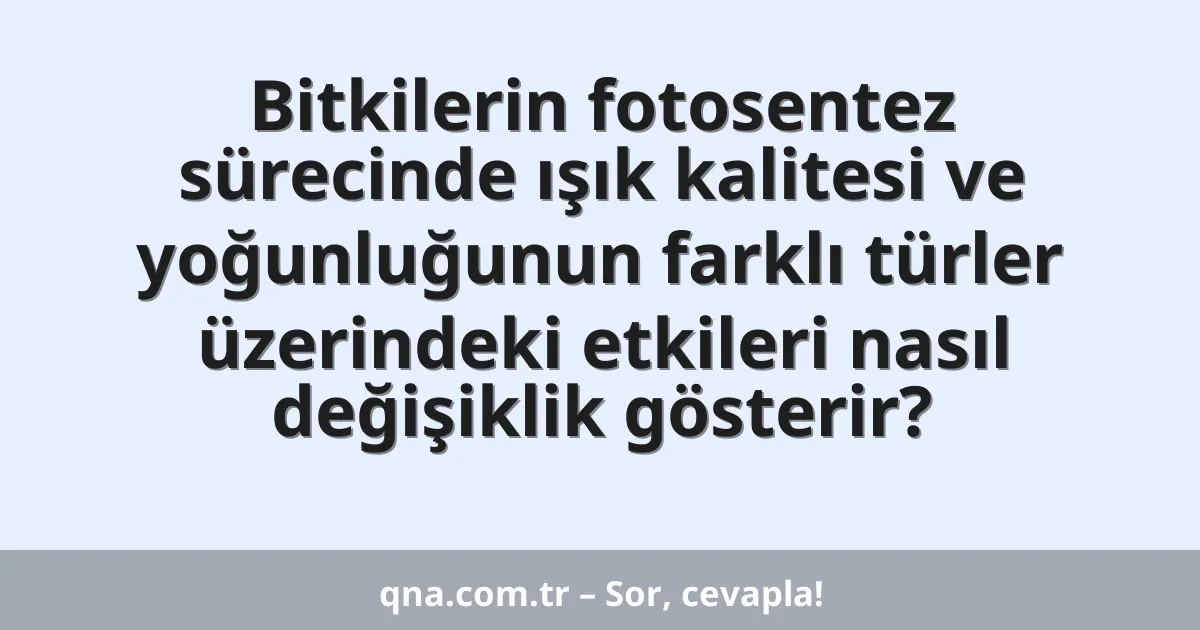 Bitkilerin fotosentez sürecinde ışık kalitesi ve yoğunluğunun farklı türler üzerindeki etkileri nasıl değişiklik gösterir?