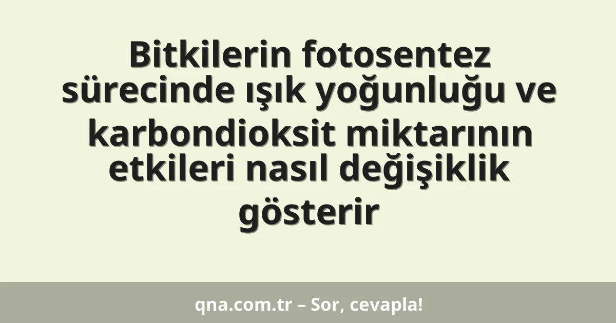 Bitkilerin fotosentez sürecinde ışık yoğunluğu ve karbondioksit miktarının etkileri nasıl değişiklik gösterir