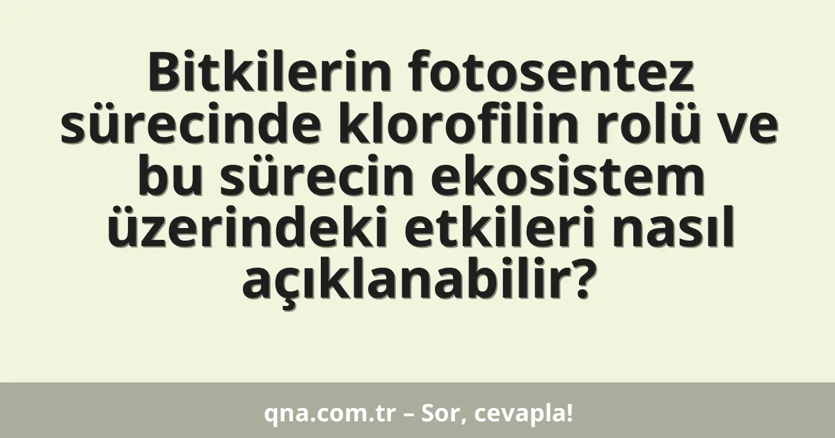 Bitkilerin fotosentez sürecinde klorofilin rolü ve bu sürecin ekosistem üzerindeki etkileri nasıl açıklanabilir?