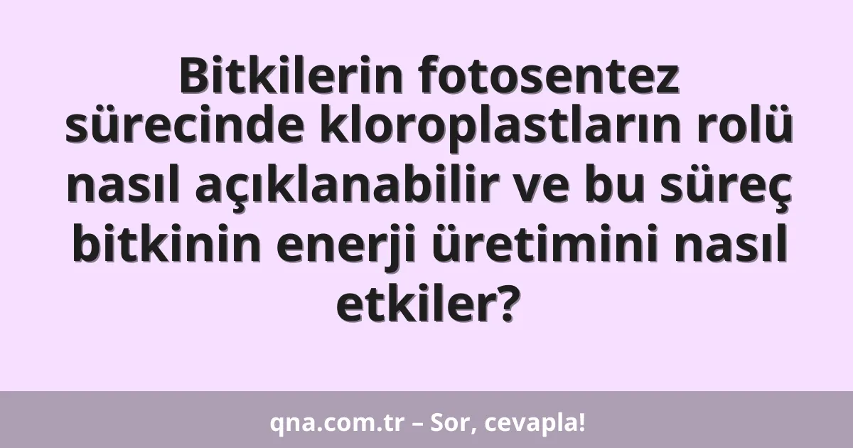 Bitkilerin fotosentez sürecinde kloroplastların rolü nasıl açıklanabilir ve bu süreç bitkinin enerji üretimini nasıl etkiler?