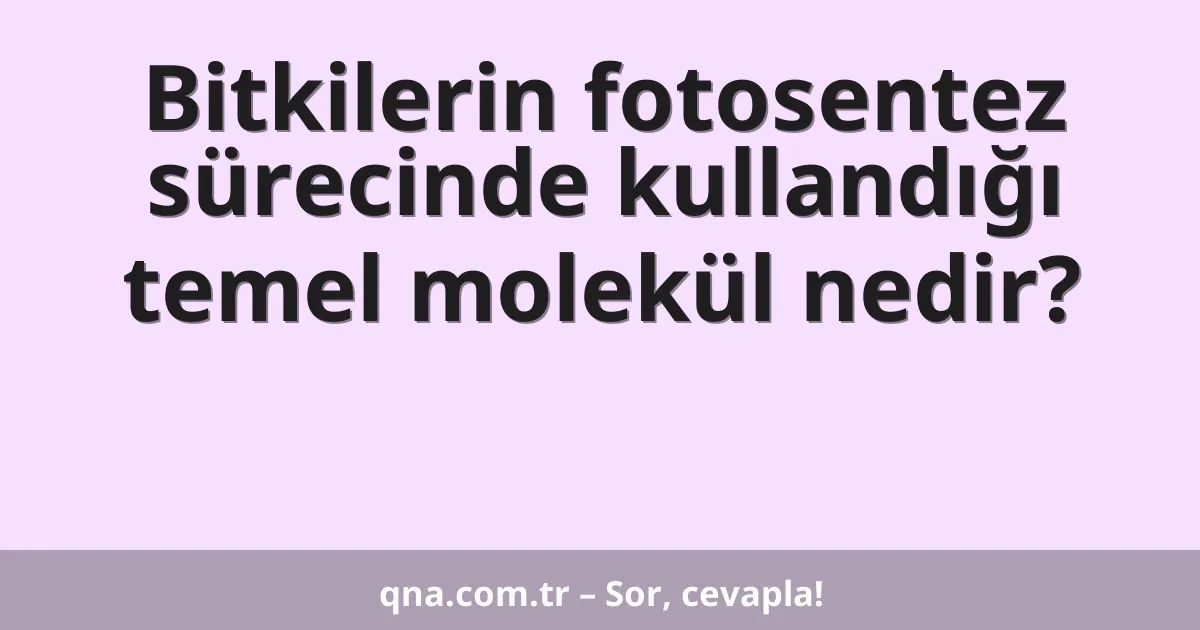 Bitkilerin fotosentez sürecinde kullandığı temel molekül nedir?