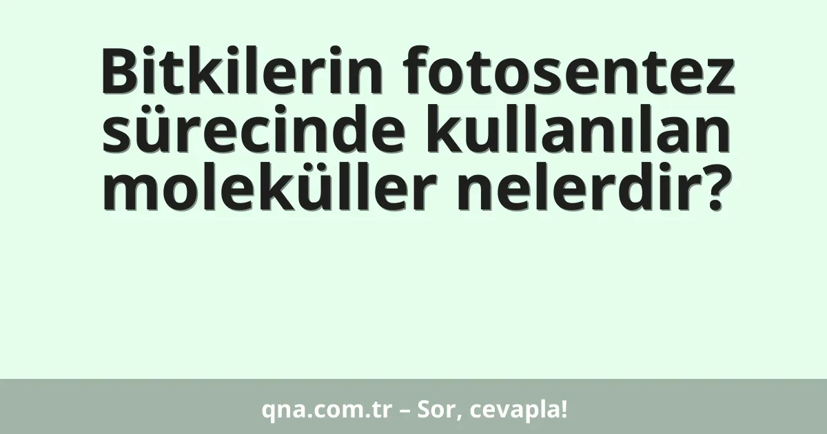 Bitkilerin fotosentez sürecinde kullanılan moleküller nelerdir?
