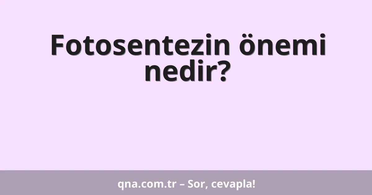 Bitkilerin fotosentez sürecindeki önemi nedir?
