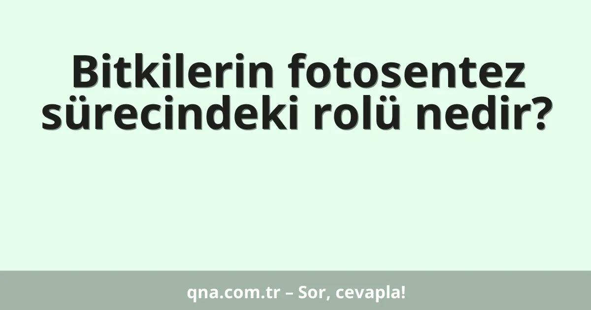 Bitkilerin fotosentez sürecindeki rolü nedir?