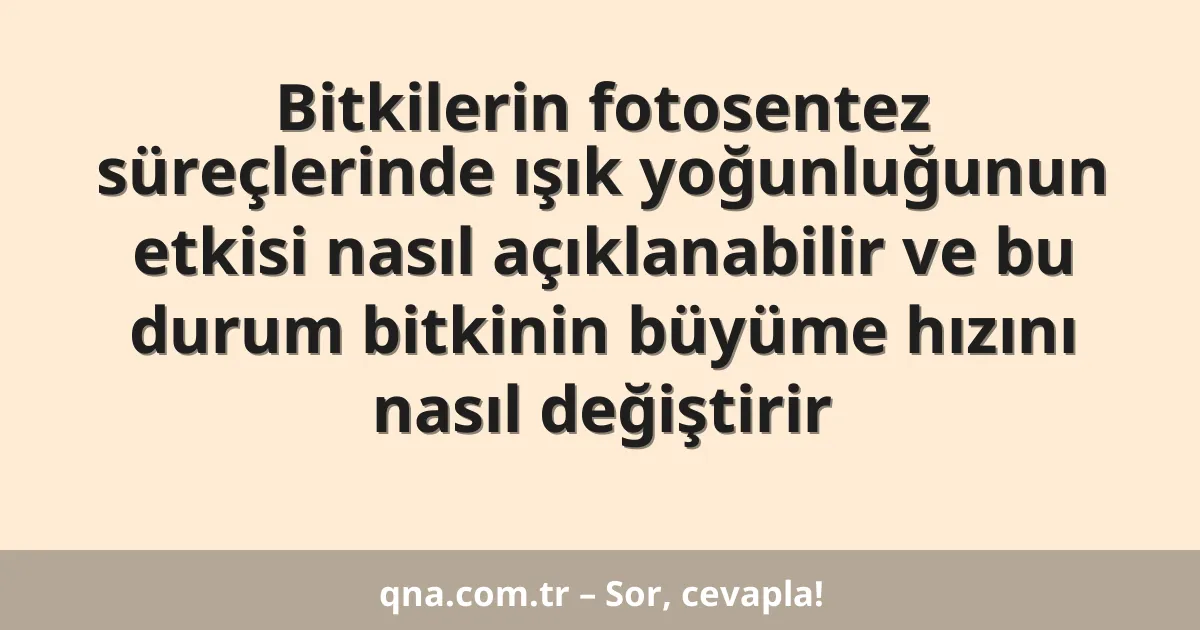Bitkilerin fotosentez süreçlerinde ışık yoğunluğunun etkisi nasıl açıklanabilir ve bu durum bitkinin büyüme hızını nasıl değiştirir