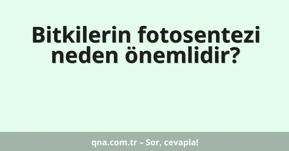 Bitkilerin fotosentezi neden önemlidir?