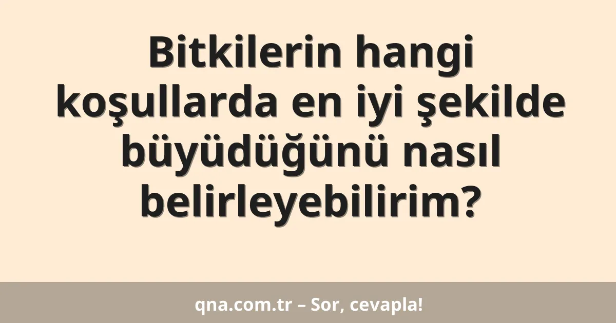 Bitkilerin hangi koşullarda en iyi şekilde büyüdüğünü nasıl belirleyebilirim?