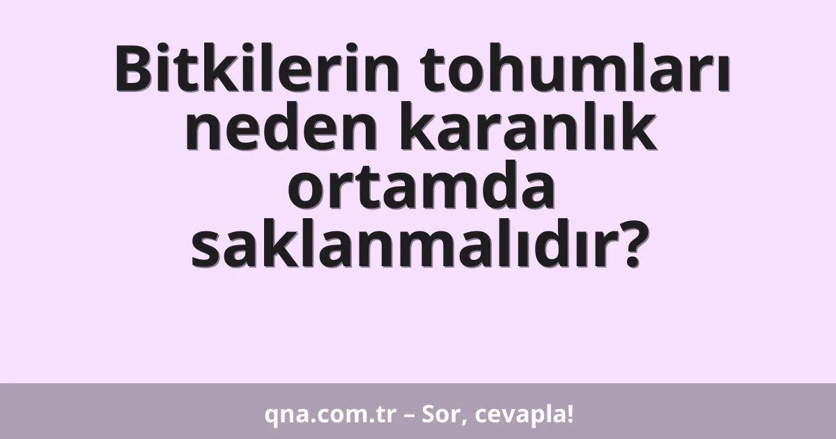 Bitkilerin tohumları neden karanlık ortamda saklanmalıdır?