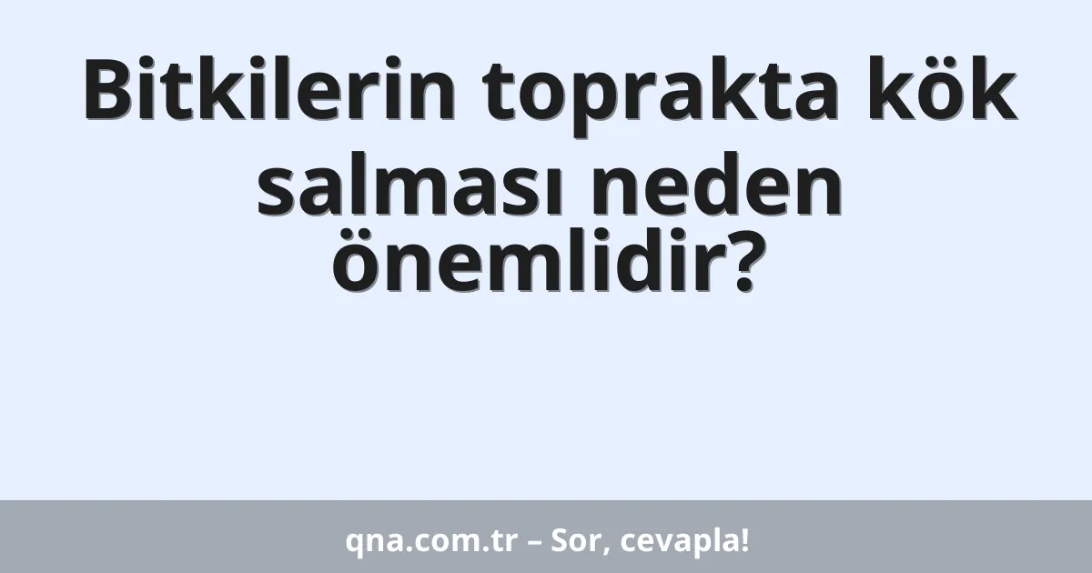 Bitkilerin toprakta kök salması neden önemlidir?