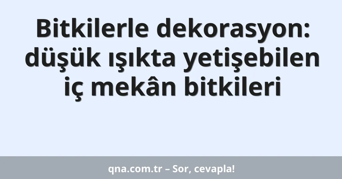 Bitkilerle dekorasyon: düşük ışıkta yetişebilen iç mekân bitkileri
