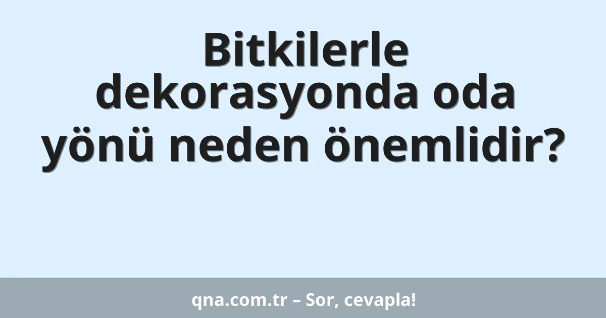 Bitkilerle dekorasyonda oda yönü neden önemlidir?