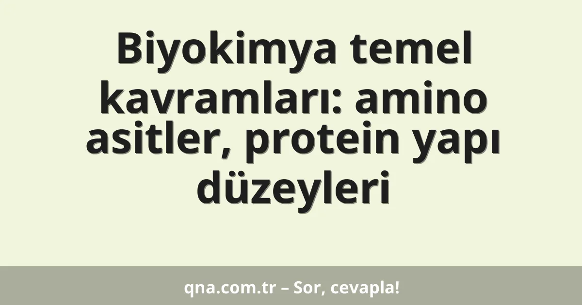 Biyokimya temel kavramları: amino asitler, protein yapı düzeyleri