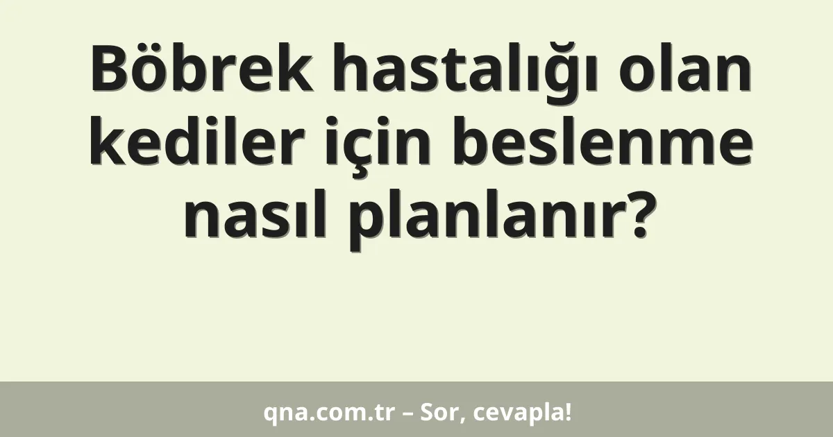Böbrek hastalığı olan kediler için beslenme nasıl planlanır?
