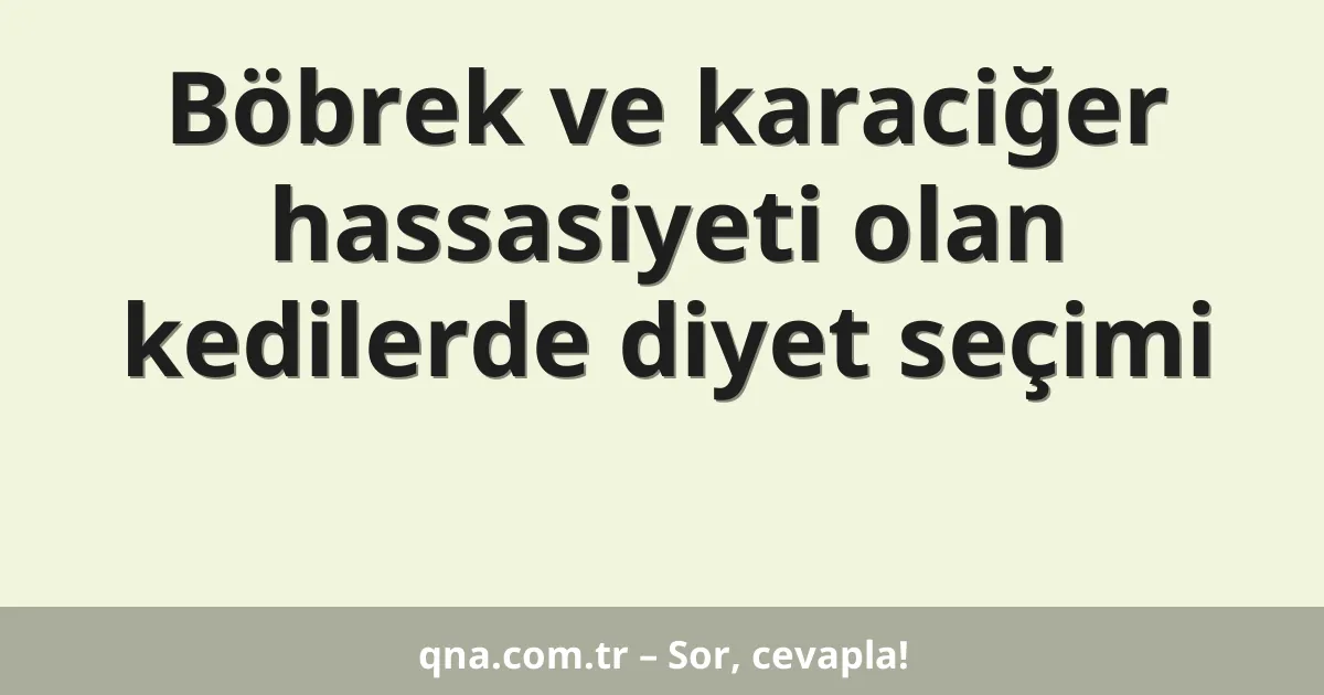 Böbrek ve karaciğer hassasiyeti olan kedilerde diyet seçimi