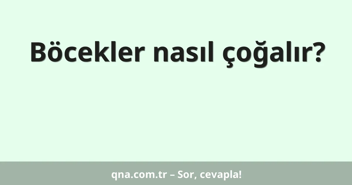 Böcekler nasıl çoğalır?