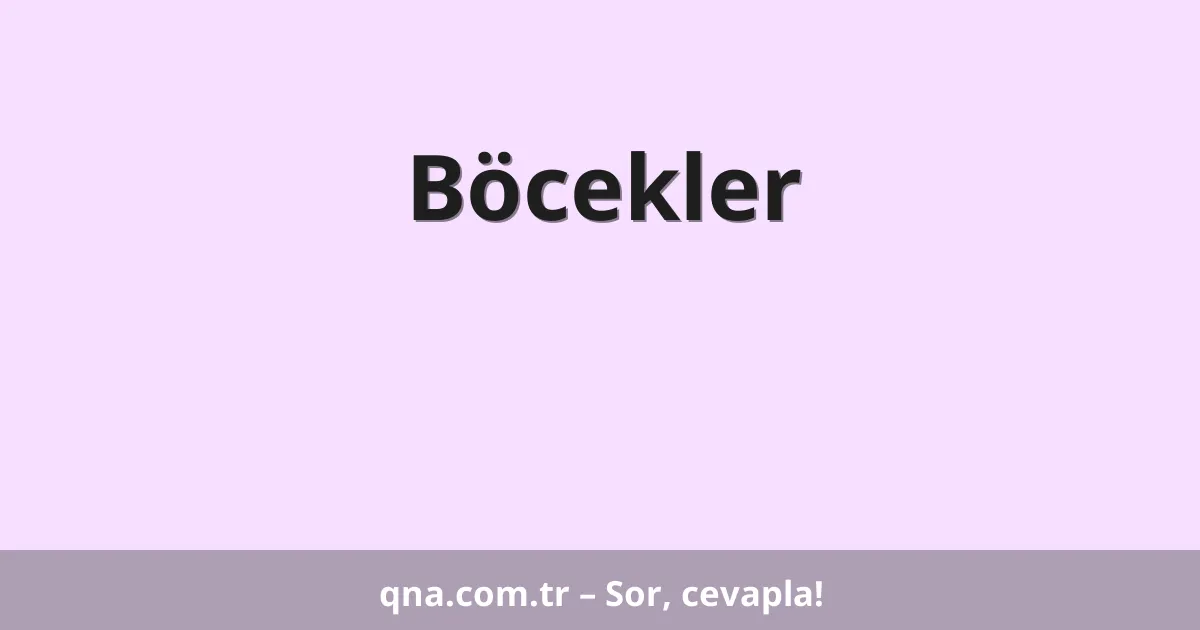 Böcekler