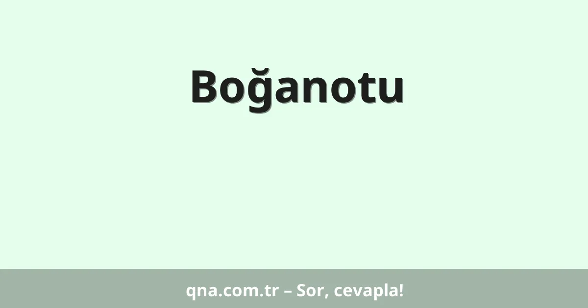 Boğanotu