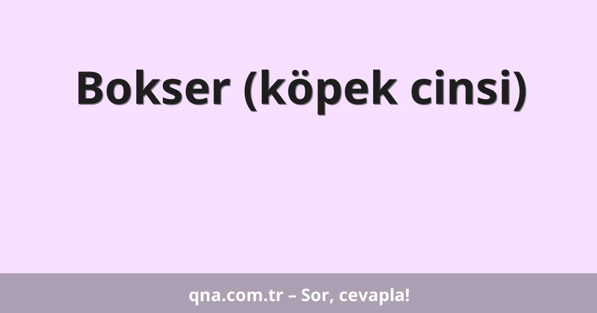 Bokser (köpek cinsi)