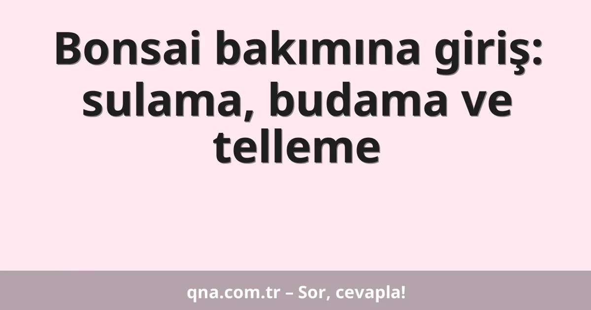 Bonsai bakımına giriş: sulama, budama ve telleme