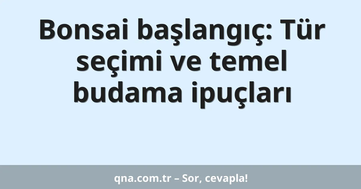 Bonsai başlangıç: Tür seçimi ve temel budama ipuçları