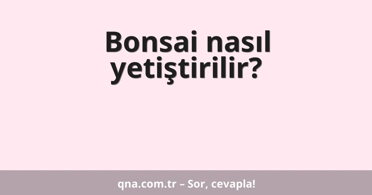 Bonsai nasıl yetiştirilir?