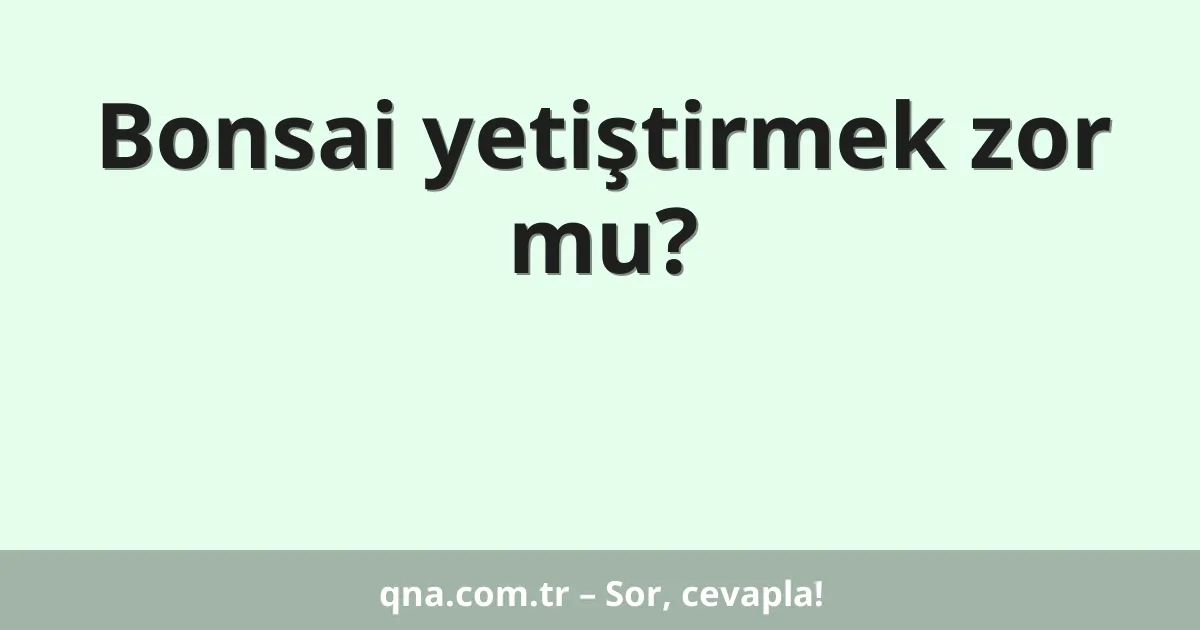 Bonsai yetiştirmek zor mu?