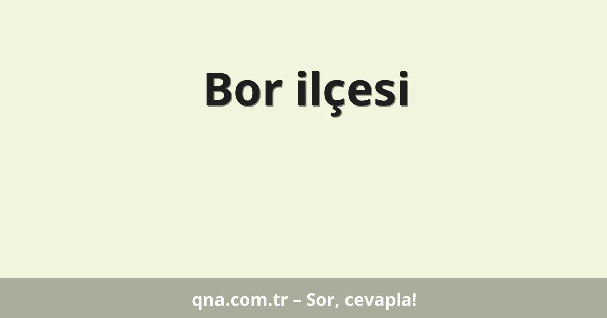 Bor ilçesi
