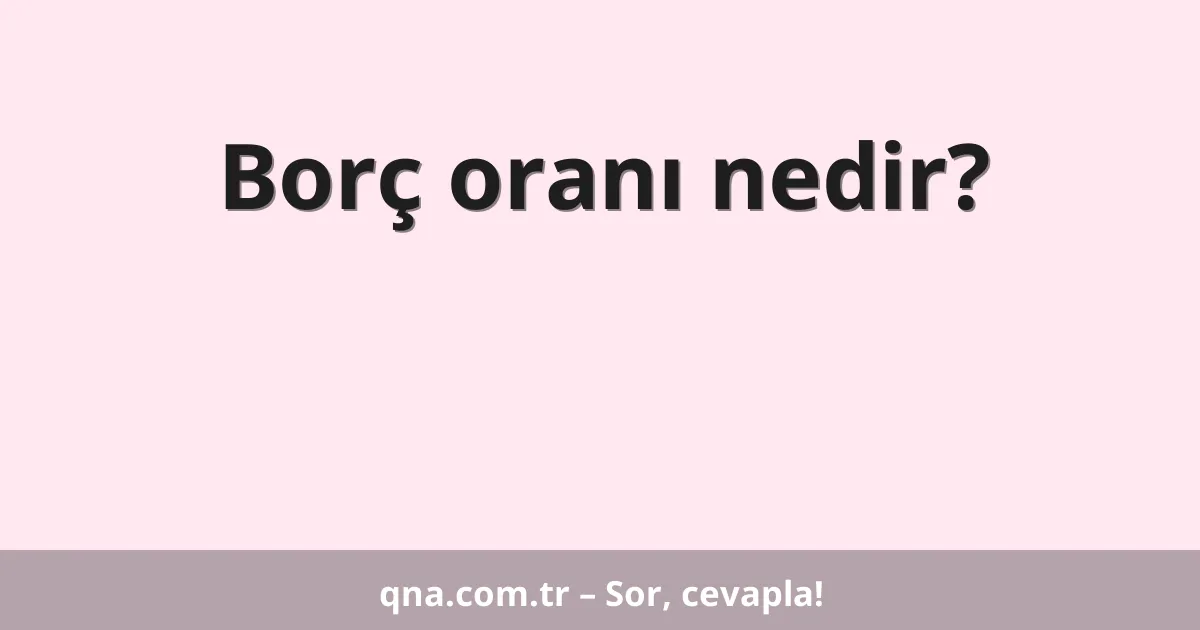 Borç oranı nedir?