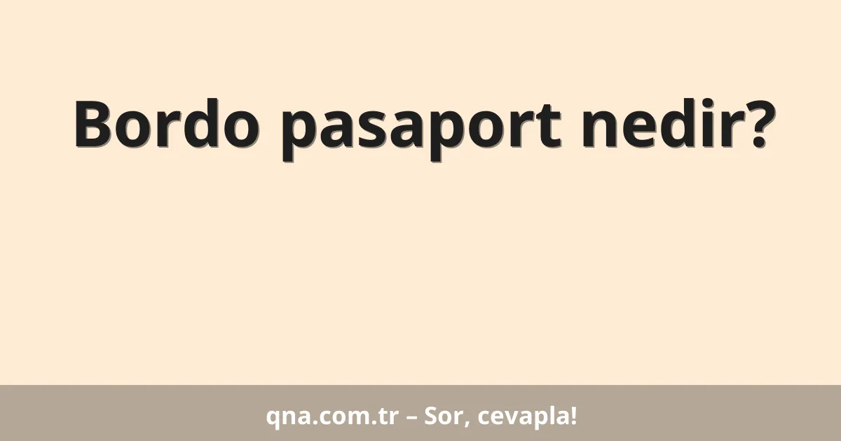 Bordo pasaport nedir?