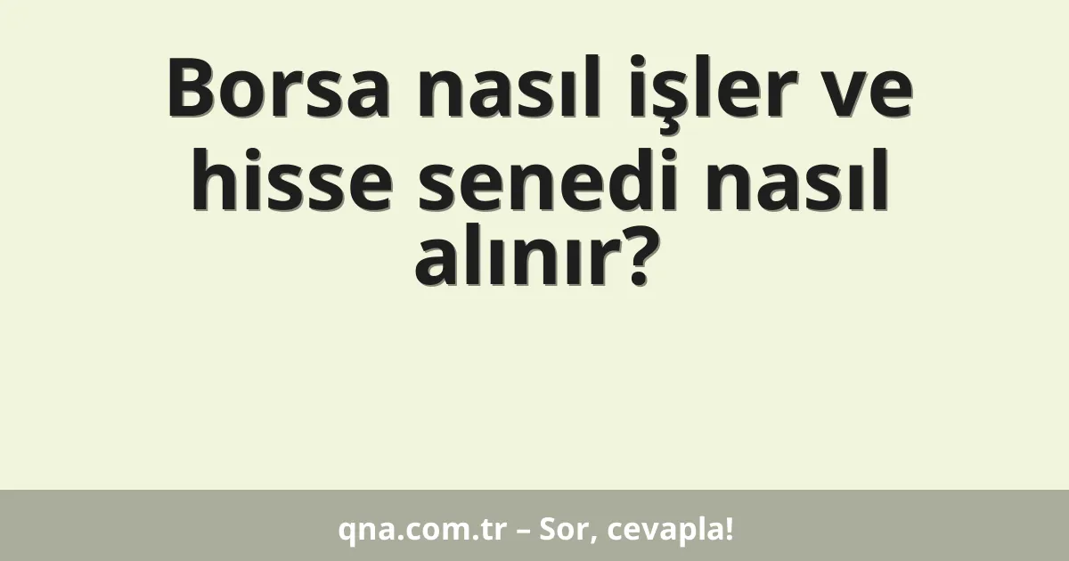 Borsa nasıl işler ve hisse senedi nasıl alınır?