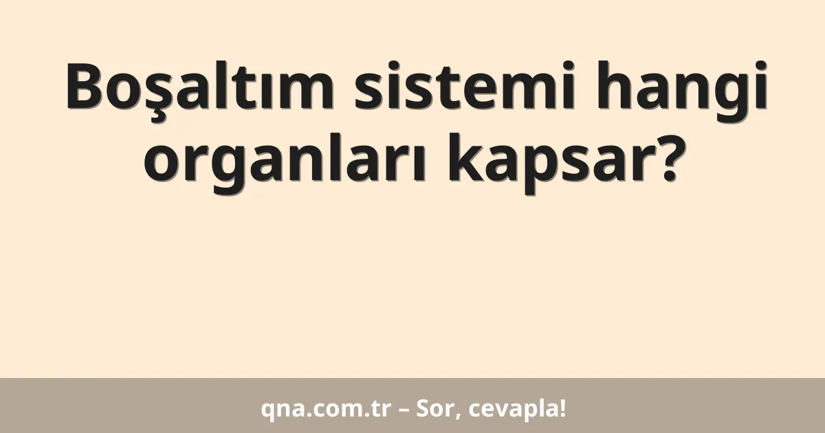 Boşaltım sistemi hangi organları kapsar?