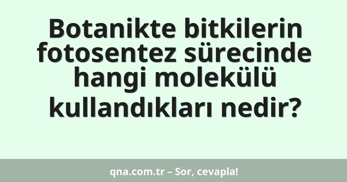 Botanikte bitkilerin fotosentez sürecinde hangi molekülü kullandıkları nedir?