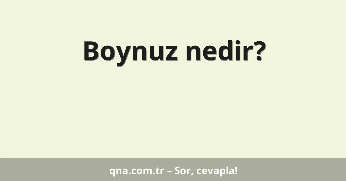 Boynuz nedir?