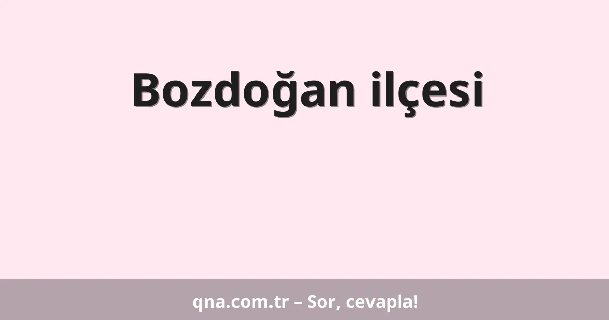 Bozdoğan ilçesi