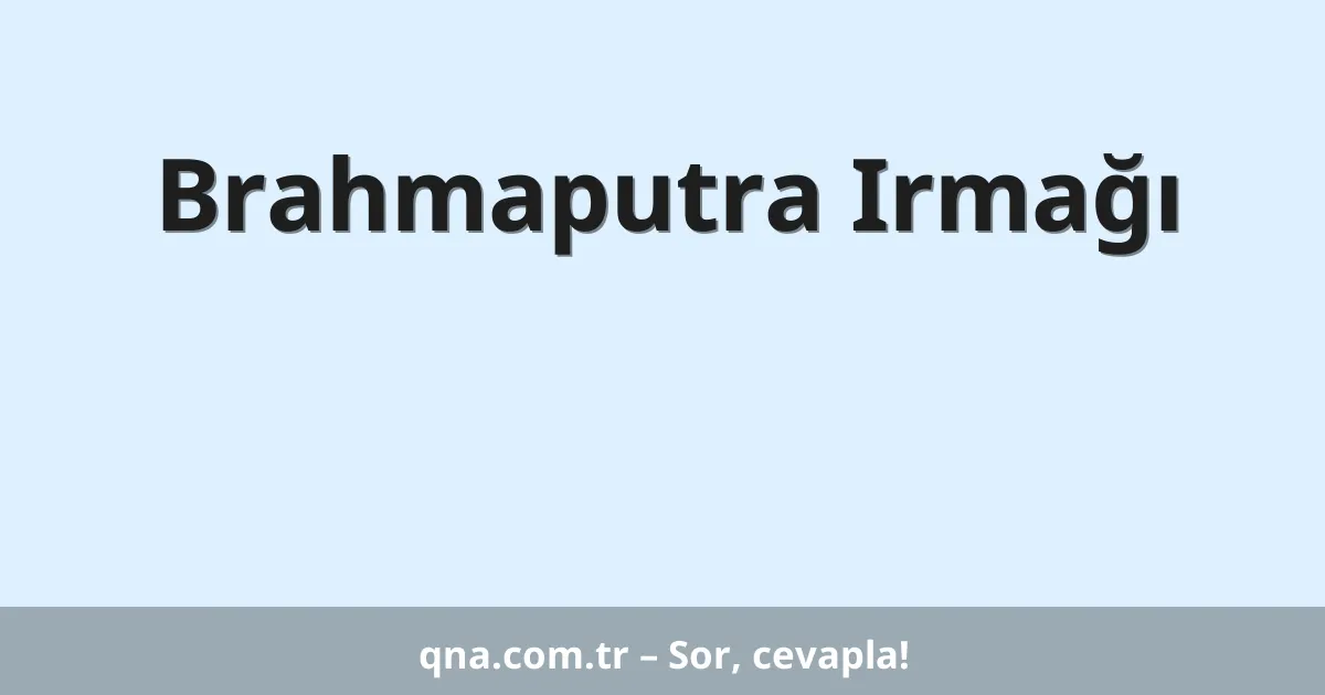 Brahmaputra Irmağı