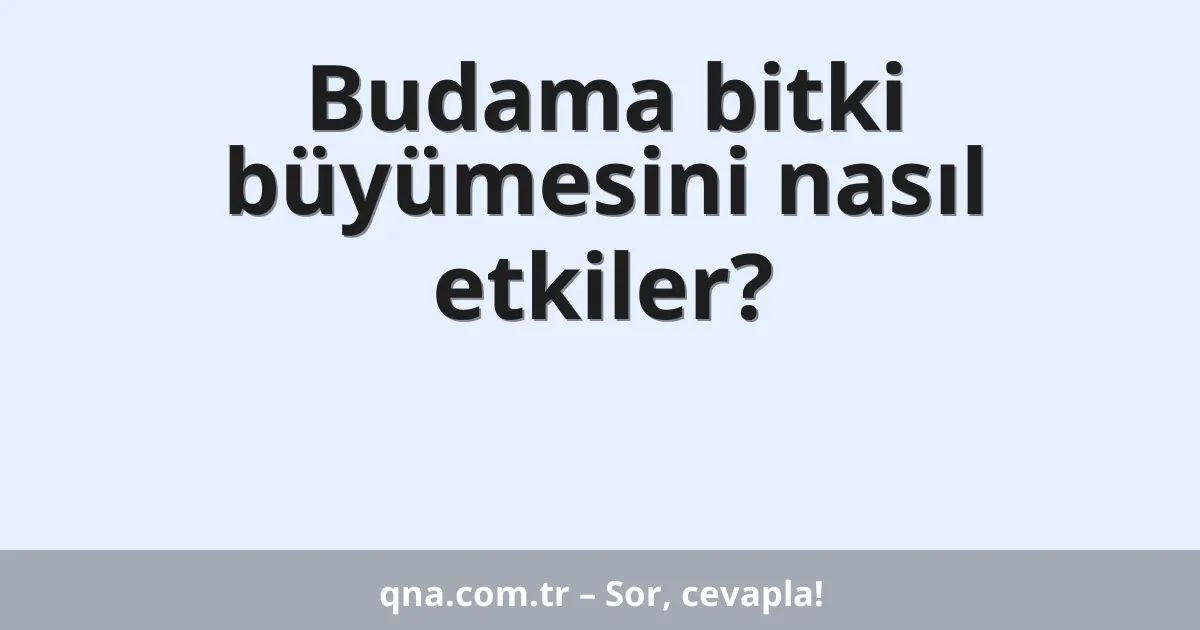 Budama bitki büyümesini nasıl etkiler?