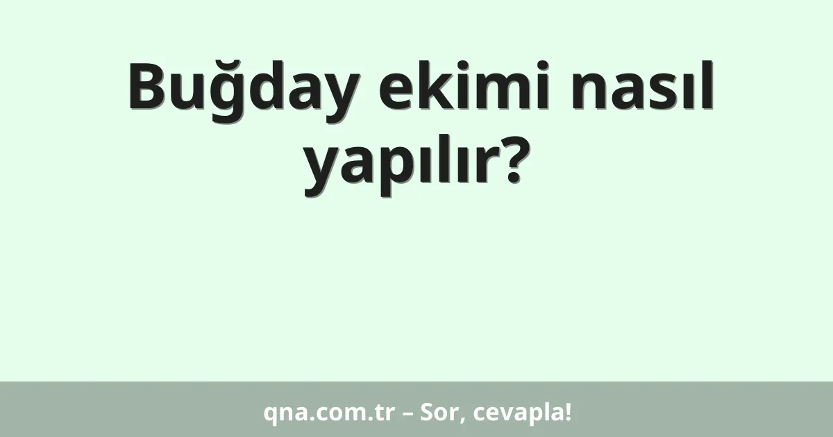 Buğday ekimi nasıl yapılır?