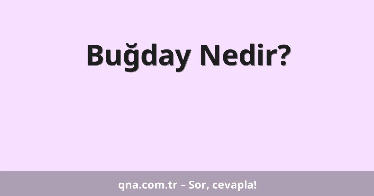 Buğday Nedir?
