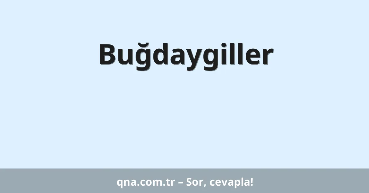 Buğdaygiller
