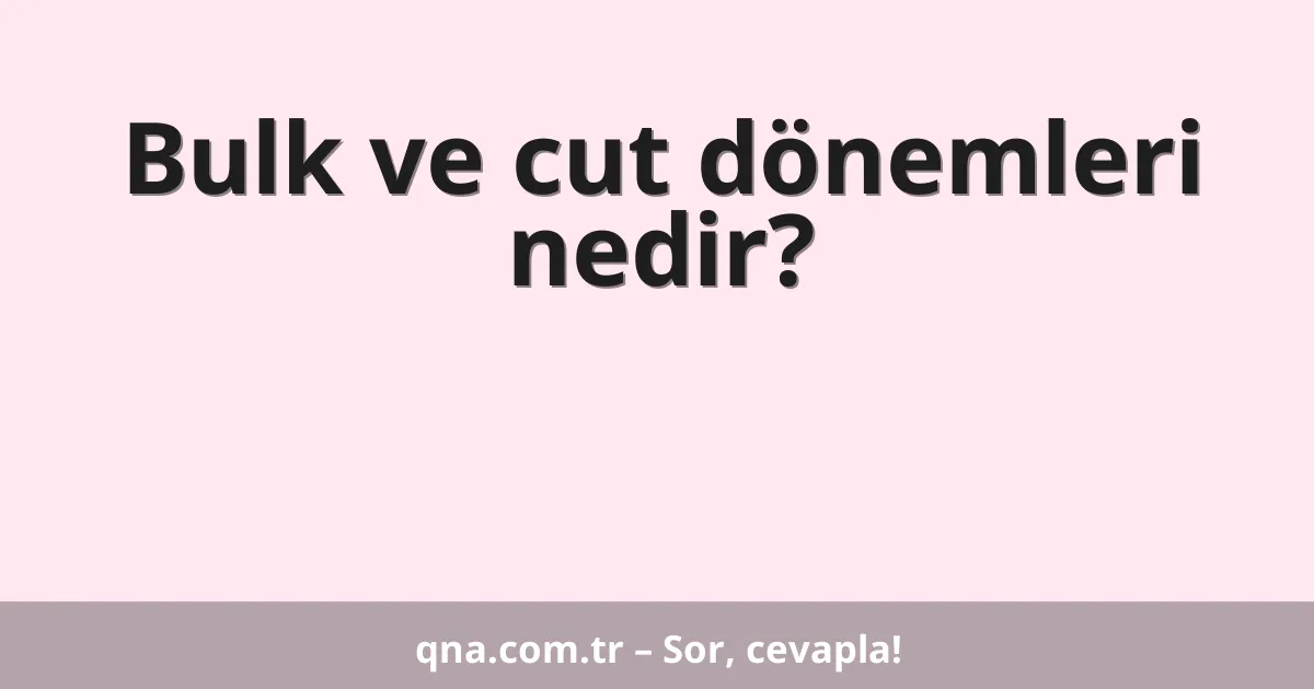Bulk ve cut dönemleri nedir?