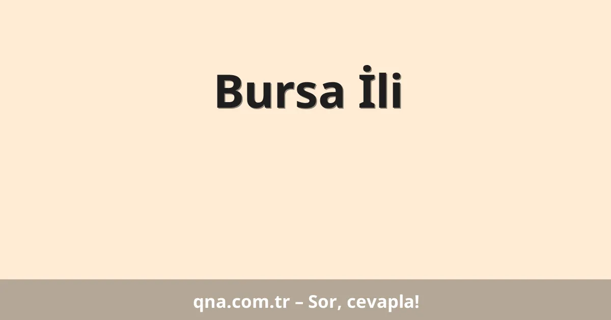 Bursa İli