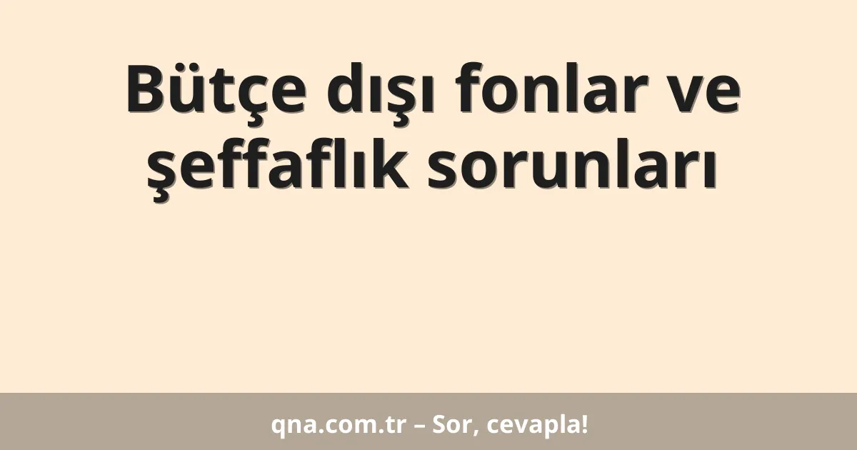 Bütçe dışı fonlar ve şeffaflık sorunları