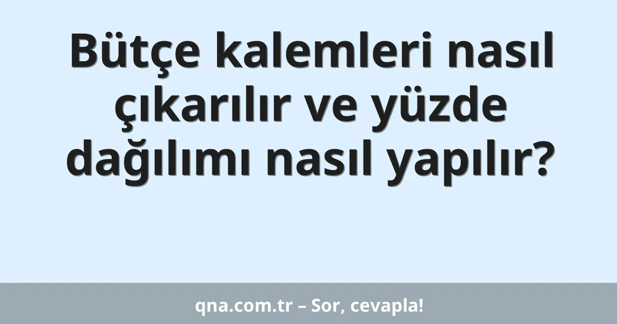 Bütçe kalemleri nasıl çıkarılır ve yüzde dağılımı nasıl yapılır?