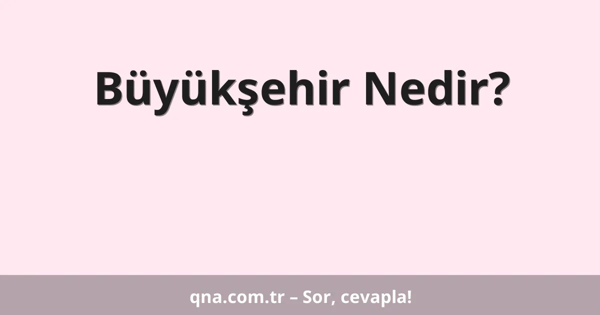 Büyükşehir Nedir?