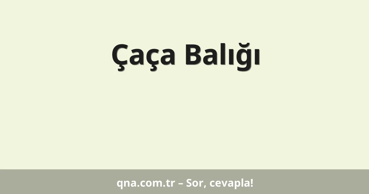 Çaça Balığı