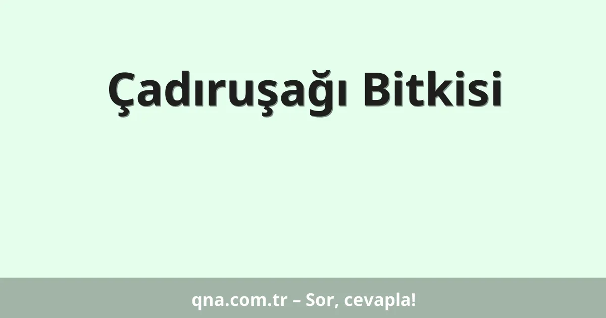 Çadıruşağı Bitkisi