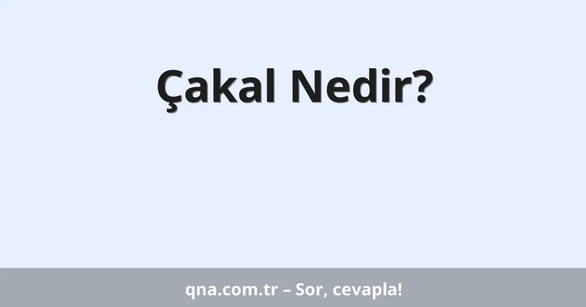 Çakal Nedir?