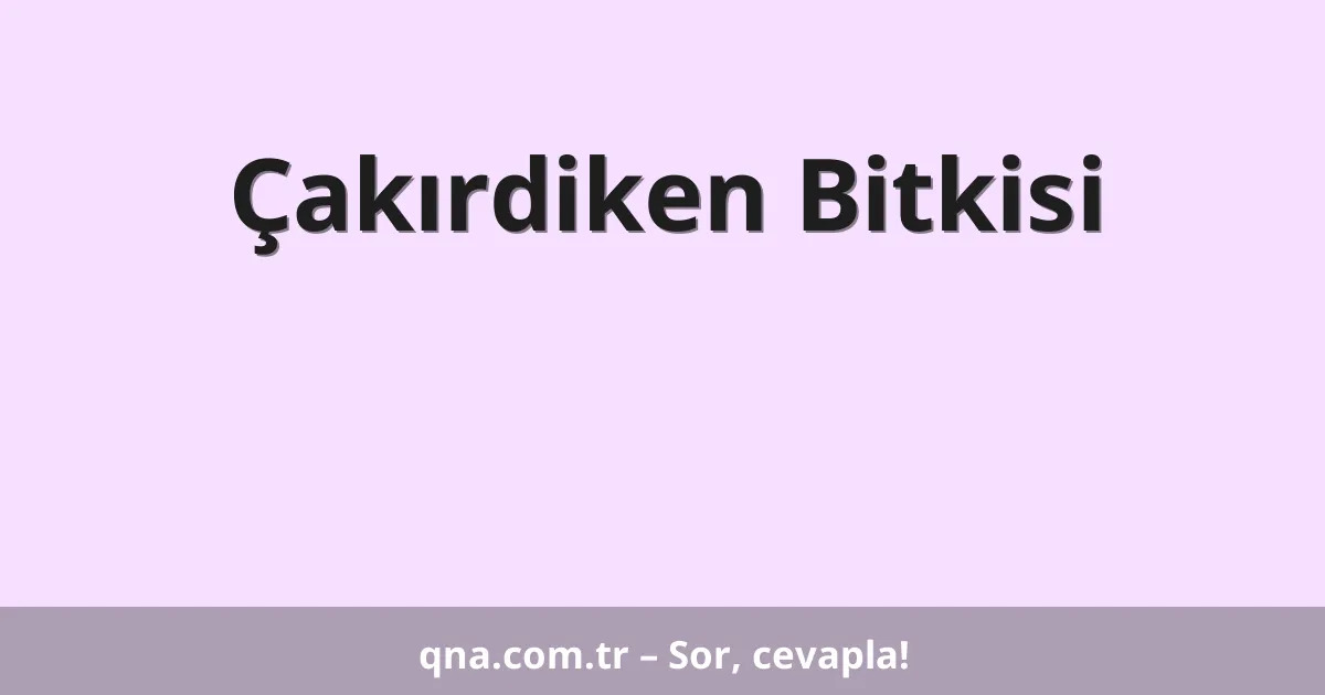 Çakırdiken Bitkisi